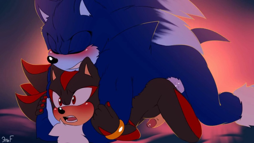 Sonic Series Shadow The Hedgehog Sonic The Hedgehog Sonic The