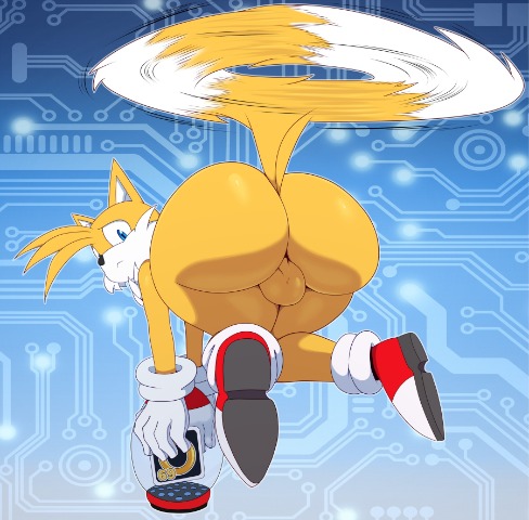 Rule 34 XYZ Sega Sonic Series Sonic The Hedgehog Series Tails