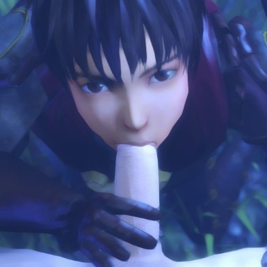 1boy, 1girl, 2017, 3d, absurdres, animated, armor, berserk, black hair, brown eyes, casca, erection, eyebrows, eyelashes, fellatio