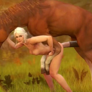 3d, anal, anal sex, animal genitalia, animated, bestiality, breasts, ciri, darktronicksfm, equine, equine penis, female, from behind, horse, horsecock