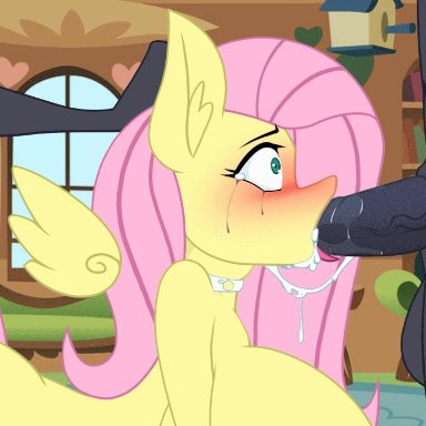 2018, animated, anthro, balls, big breasts, blush, breasts, cum, equine, faceless male, female, fluttershy (mlp), forced, forced oral, friendship is magic