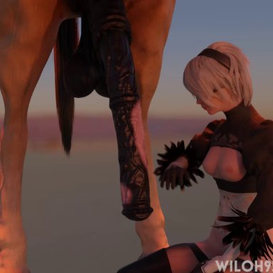 3d, animal genitalia, animated, areolae, breasts, erect nipples, erection, female, horse, horsecock, huge balls, huge cock, hyper penis, male, nier