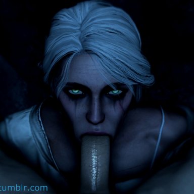 1boy, 1girl, 2017, 3d, absurdres, animated, ciri, cirilla fiona elen riannon, clothed female nude male, clothes, deepthroat, erection, eye contact, eyebrows, fellatio