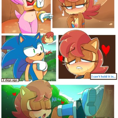 2018, amy rose, anthro, anus, blue eyes, blush, bottomless, breasts, brown fur, brown hair, chipmunk, cleavage, closed eyes, clothed, clothing