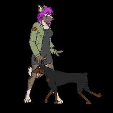 all fours, amber (predation), animated, anthro, anthro on feral, blue eyes, blush, canine, clothing, cum, cum inside, cunnilingus, doberman, female, feral