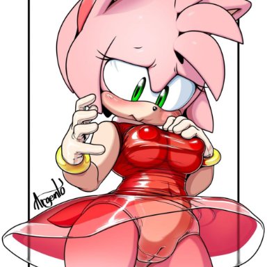 2018, amy rose, anthro, argento, artist name, big nipples, black nose, blush, bracelet, breasts, bulge, clothed, clothing, digital media (artwork), dress