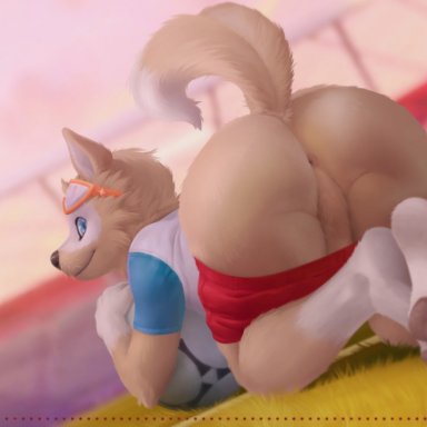anhes, anthro, anus, ass, balls, barefoot, big butt, canine, fifa, fur, furry, looking at viewer, looking-back, male, male only
