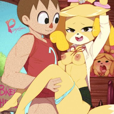 2018, animal crossing, animated, anthro, balls, barefoot, blonde hair, bottomless, breasts, brown hair, canine, clothed, clothing, female, fur