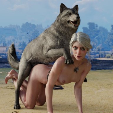 3d, areolae, beach, breasts, ciri, niodreth, nipples, the witcher, the witcher 3, the witcher 3: wild hunt, white hair, wolf, zoophilia