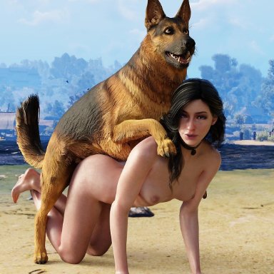 3d, areolae, beach, black hair, breasts, canine, niodreth, nipples, the witcher, the witcher 3, the witcher 3: wild hunt, yennefer, zoophilia
