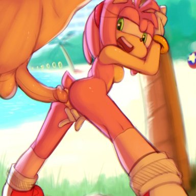 against tree, amy rose, anal, anal sex, anthro, anus, ass, black nose, bodyguard position, bracelet, breasts, bzeh, clothing, duo, eulipotyphlan