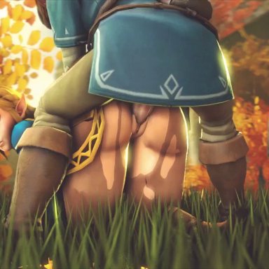 3d, animated, ass, big ass, breath of the wild, clothed sex, doggy style, female, from behind, grass, jujala, link, male, outdoors, outside