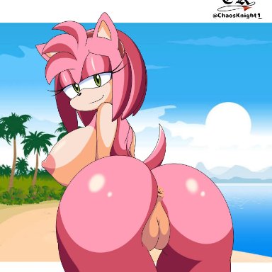 1girls, 2019, amy rose, animal ears, anthrofied, anus, ass, beach, bedroom eyes, bent over, big ass, big breasts, big butt, black nose, breasts