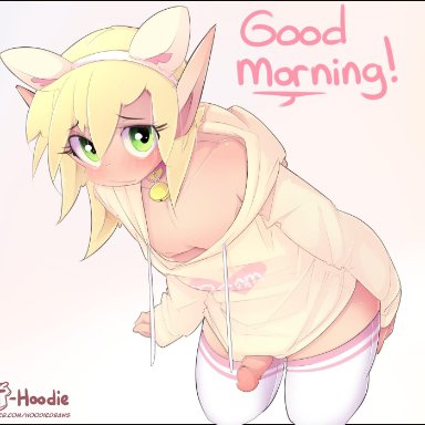 1boy, blush, elf, erection, femboy, girly, hoodie (artist), looking at viewer, male, male only, penis, trap