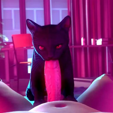 3d, ambiguous gender, animated, bethesda softworks, duo, erection, feline, feral, first person view, geetee, human, interspecies, licking, male, male on feral