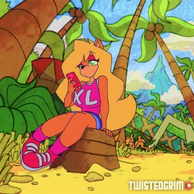 animated, bandicoot, bounce, bra, breasts, clothing, crash (series), crash bandicoot, sound, tagme, tawna bandicoot, tearing clothes, twistedgrim, webm