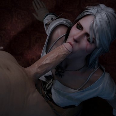 1boy, 1girl, 3d, animated, big penis, blender, bwc, ciri, clothing, deepthroat, fellatio, female, gloves, green eyes, hetero