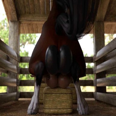 3d, animated, barn, bestiality, deep penetration, horse, missionary position, zoophilia