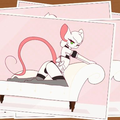 animated, animated gif, ass, couch, curvy, femboy, fur, gay, gif, green eyes, lingerie, no sound, photo, photo background, pink lingerie