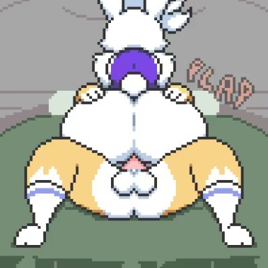 1boy, anal, anal sex, animated, bed, bunny girl, countmoxi, cowgirl position, female, from behind, furry, interspecies, lagomorph, onomatopoeia, original