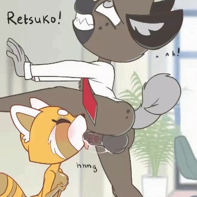 1boy, 1girls, aggressive retsuko, animated, anthro, bikomation, blush, bouncing balls, breast squeeze, fellatio, furry, haida, oral, retsuko, swinging balls