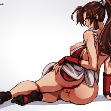 areolae, artist name, ass, big ass, breasts, brown eyes, brown hair, clothing, fatal fury, female, female only, hair, king of fighters, legs, long hair