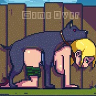 animated, bestiality, bound, collar, cum in pussy, dog, doggy style, leash, pixel art, rape, webm, zoophilia