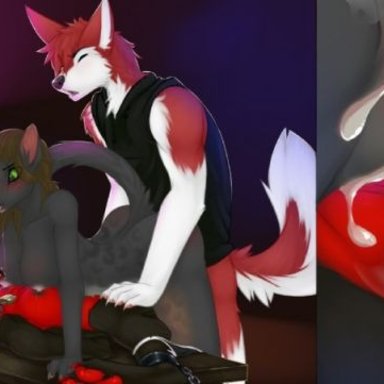 cum, cum in pussy, furry, yiff, Zoe(furry)