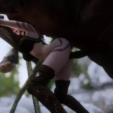 3d, animated, bestiality, doggy style, horse, outdoors, skyrim, standing, webm, zoophilia