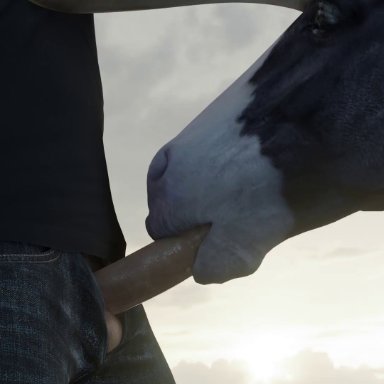 3d, animated, bestiality, big penis, blowjob, equine, fellatio, feral, feral on human, furjoe, horse, human, human on feral, mammal, oral penetration