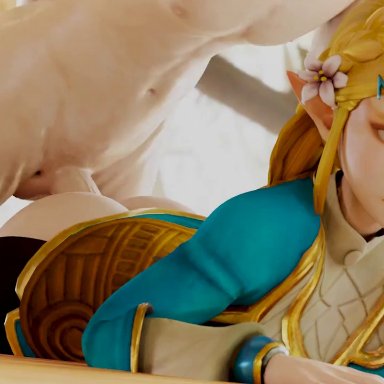 3d, bewyx, blender, doggy style, hyrule warriors, princess zelda, webm, zelda (breath of the wild)