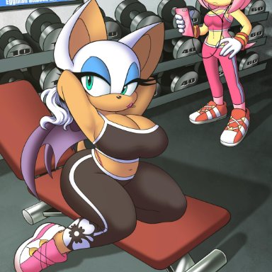 2girls, amy rose, april o'neil, bat, bat wings, big breasts, bimbo, blaze the cat, blue eyeshadow, cleavage, clothing, earphones, gym, hi res, highres