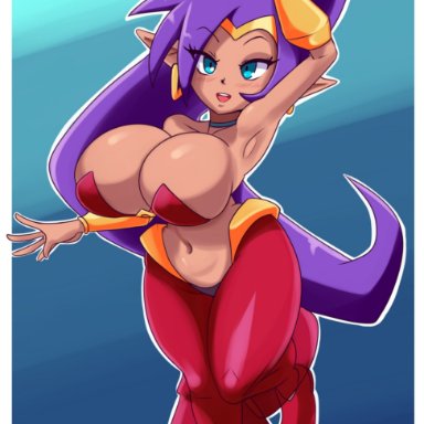 big breasts, blue eyes, earrings, ichduhernz, ponytail, purple hair, shantae, shantae (character), tiara, tight bra