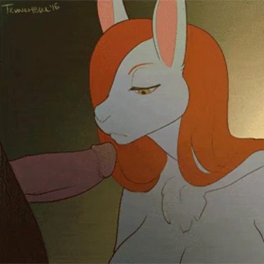 1girls, animated, blowjob, cum in hair, cum on face, ejaculation, furry, lagomorph, licking cum, oral, orange hair, penis kiss, rabbit, tongue, trunchbull