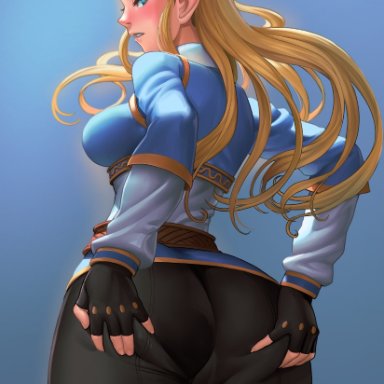 artist request, big breasts, breath of the wild, clothed female, female, female focus, female only, lasterk, long hair, solo, solo female, solo focus, the legend of zelda, zelda (breath of the wild)