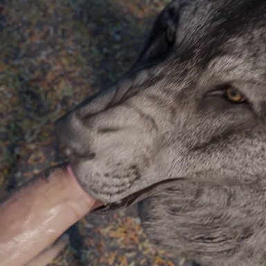 3d, animal, animated, bestiality, big penis, bwc, canine, fellatio, female feral, feral, feral on human, feral penetrated, furjoe, hand on head, human