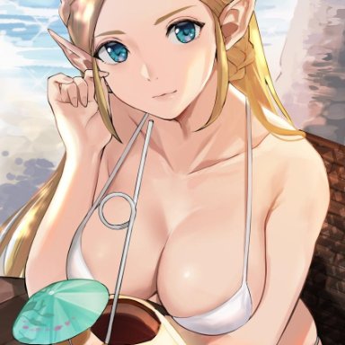 [email protected], big breasts, female, female focus, female only, long hair, nintendo, princess zelda, solo, solo female, solo focus, the legend of zelda, the legend of zelda: breath of the wild, zelda (breath of the wild)