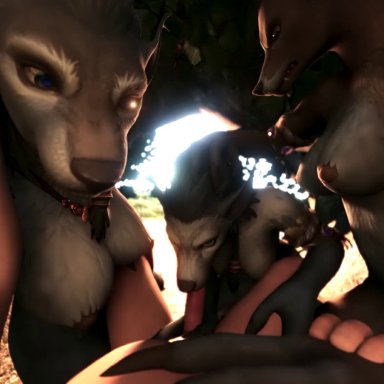 3d, animated, evilbanana, fellatio, furry, growl, human, human male on anthro, human penetrating, sound, tagme, webm, worgen, world of warcraft