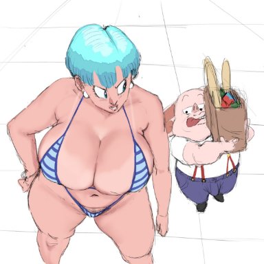 angry expression, big breasts, bikini, blue eyes, blue hair, breasts, bulge, bulma briefs, cleavage, dragon ball, dragon ball z, grocery bag, large breasts, large tits, milf