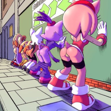 amy rose, ass, blaze the cat, cream the rabbit, rouge the bat, sonic (series), tojyo, vanilla the rabbit