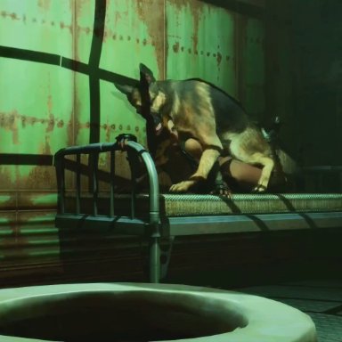 3d, animated, bestiality, bethesda softworks, bra, breasts, canid, canine, cock, creampie, dogmeat, domestic dog, duo, fallout, fallout 4