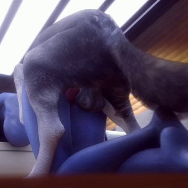 1boy, 1girls, 3d, all fours, animal genitalia, animated, asari, ass, balls, canine, canine penis, dog, domestic dog, erection, feet