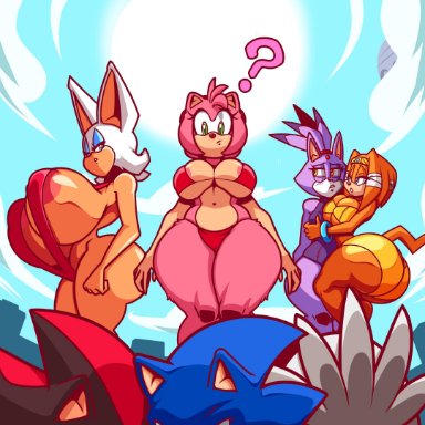 amy rose, big breasts, bikini, black body, blaze the cat, blue eyes, blue hair, bra, breasts, chiropteran, day, domestic cat, echidna, female, gem