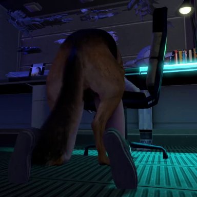 3d, all fours, animated, artist request, bestiality, dog, doggy style, rey, zoophilia