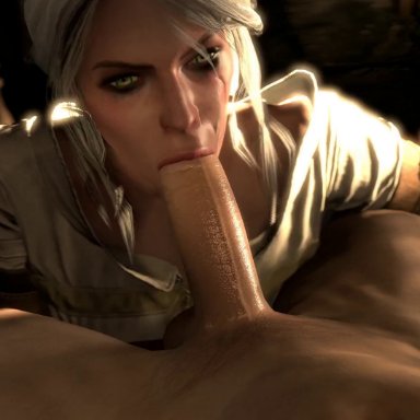 the witcher, the witcher 3: wild hunt, ciri, spoks, zombod, 1girls, 61boy, blowjob, clothed female, clothed female nude male, erection, fellatio, nude male, penis, 3d