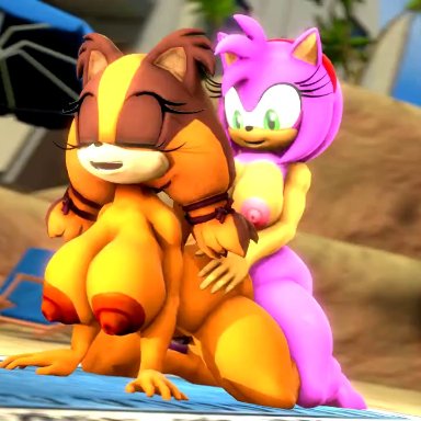 2girls, 3d, amy rose, animated, ass, cum, cum in pussy, cum inside, from behind, full-package futanari, furry, futa on female, futanari, hairy, hairy pussy