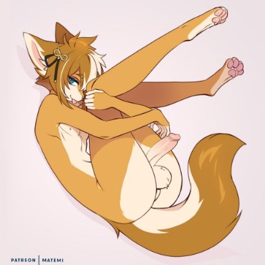 ass, big penis, femboy, fetal position, fox, fox boy, fur, furry, genshin impact, girly, gorou (genshin impact), legs up, matemi, nude, pawpads