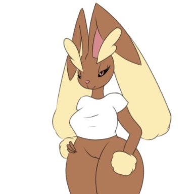 animated, anthro, avian, blaziken, breasts, clothed, clothing, clothing lift, female, genitals, khanyvor, looking at viewer, lopunny, nintendo, nipples