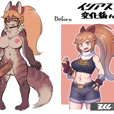 1futa, 1girls, areolae, balls, before and after, big breasts, big penis, breast expansion, breasts, clothed, clothing, female, fully clothed, furry, futanari