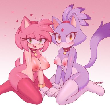 amy rose, anthro, areola, blaze the cat, breast size difference, breasts, clothing, domestic cat, duo, eulipotyphlan, felid, feline, felis, female, hedgehog